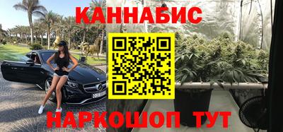 сатива Краснознаменск